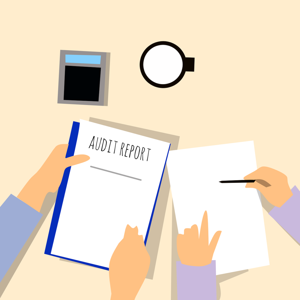 What is Audit Report